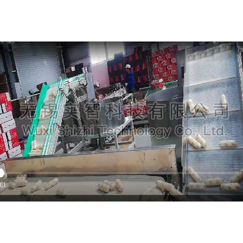 Z型链板提升线及双离心盘